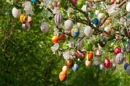 Bunt und rund: Farbenfrohe Ostereier glänzen mit zarten Frühlingsblüten um die Wette  