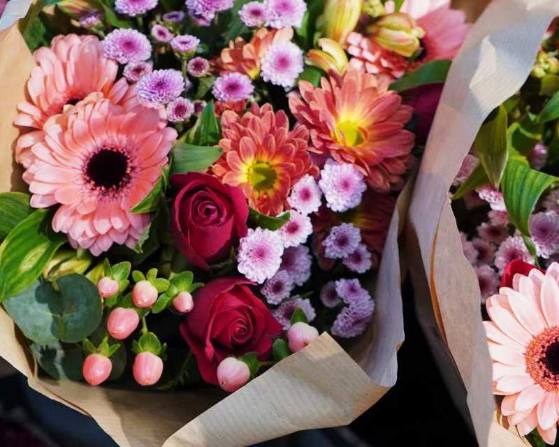 Tipp des Monats_Februar